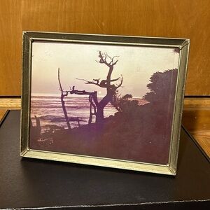 Vintage gold frame (and cool old photograph!)